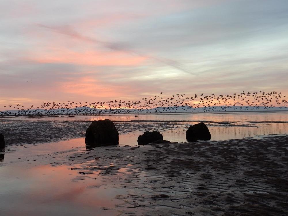 Shelduck Cottage Mainsriddle Luaran gambar