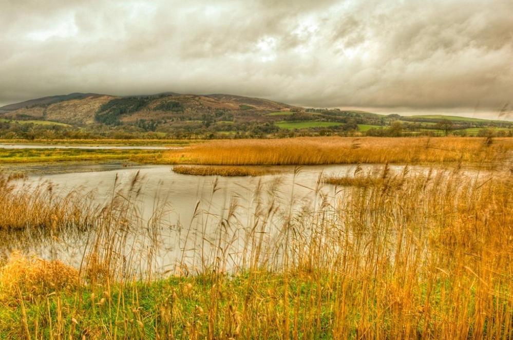 Shelduck Cottage Mainsriddle Luaran gambar